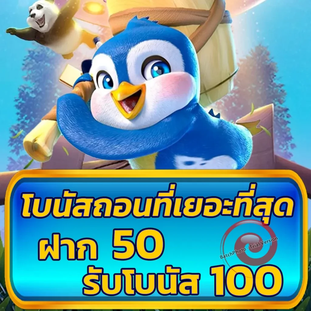 soh-788 ครบทุกค่าย